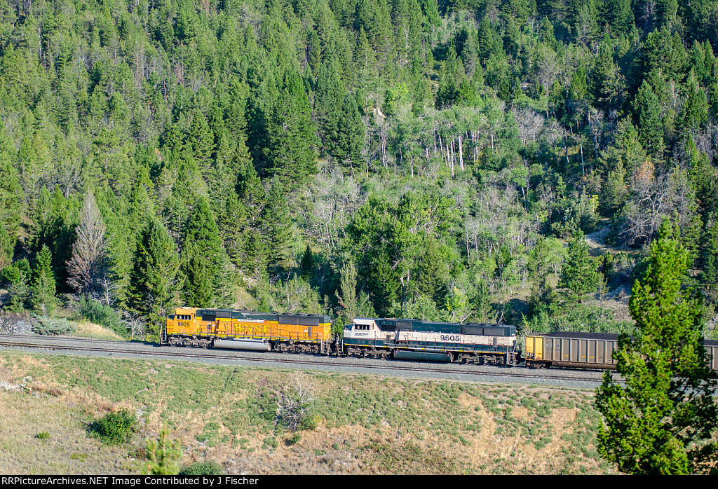 BNSF 8925